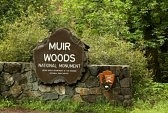 muir woods limo tours